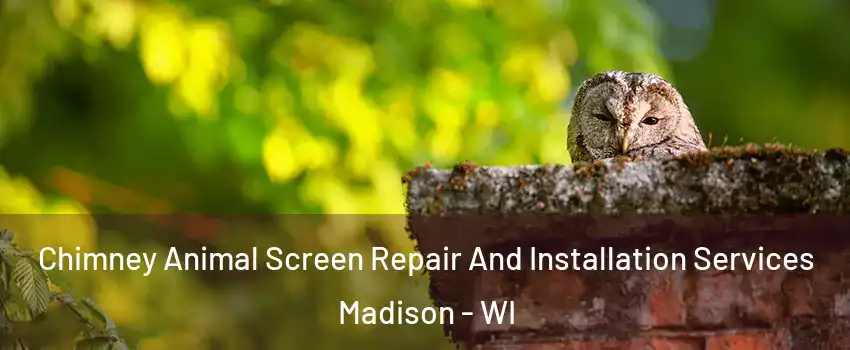  Chimney Animal Screen Repair And Installation Services Madison - WI