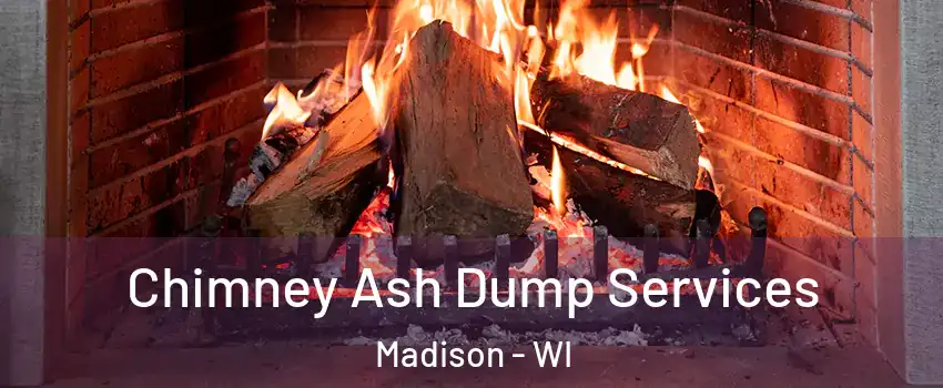  Chimney Ash Dump Services Madison - WI