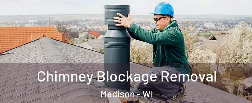  Chimney Blockage Removal Madison - WI