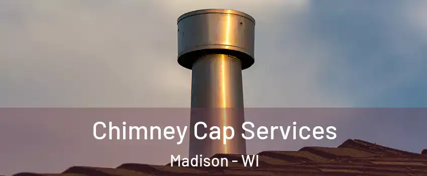  Chimney Cap Services Madison - WI