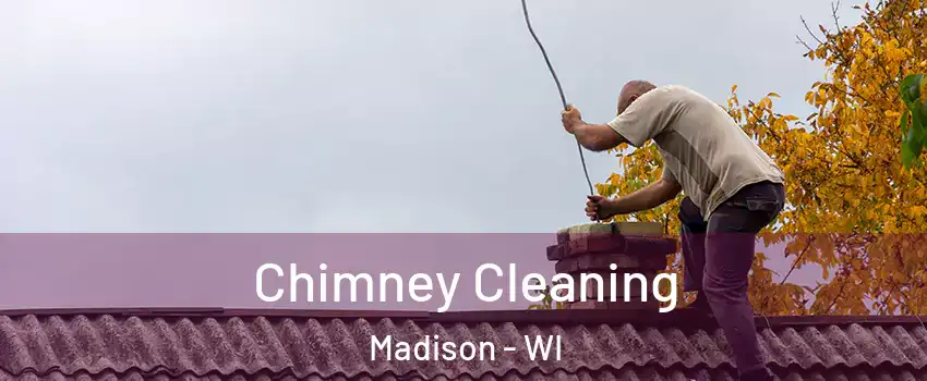  Chimney Cleaning Madison - WI