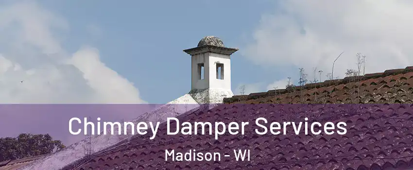  Chimney Damper Services Madison - WI
