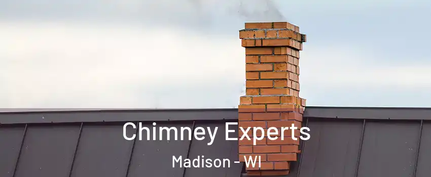  Chimney Experts Madison - WI