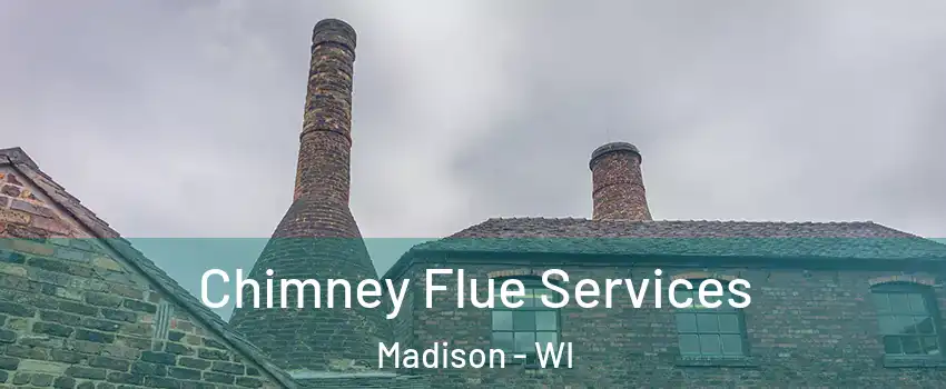  Chimney Flue Services Madison - WI