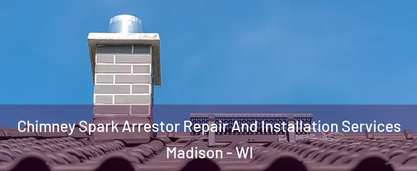  Chimney Spark Arrestor Repair And Installation Services Madison - WI