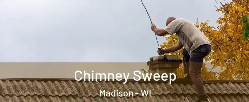  Chimney Sweep Madison - WI