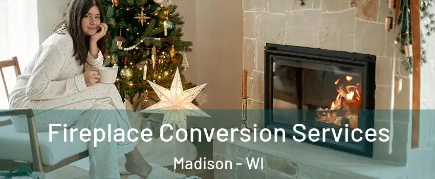  Fireplace Conversion Services Madison - WI