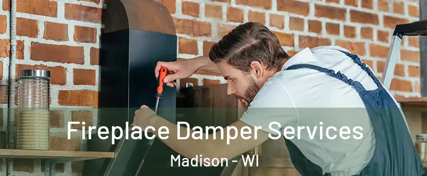  Fireplace Damper Services Madison - WI