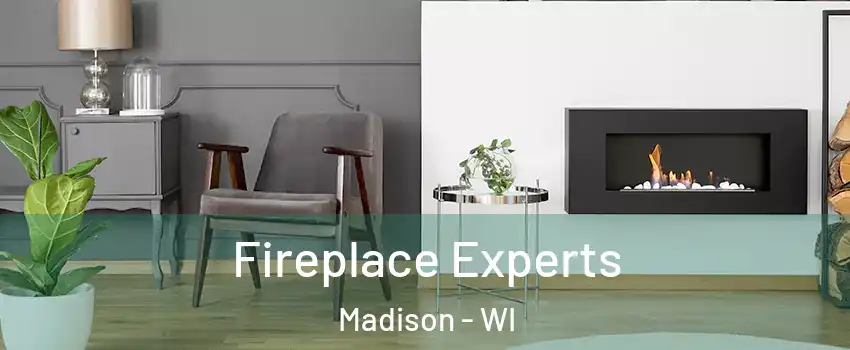  Fireplace Experts Madison - WI