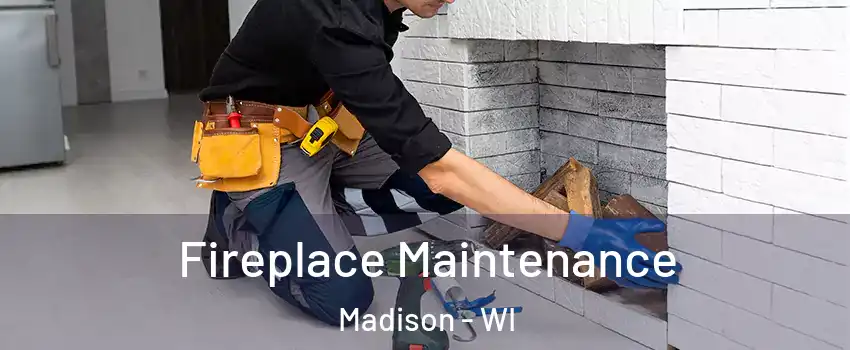  Fireplace Maintenance Madison - WI