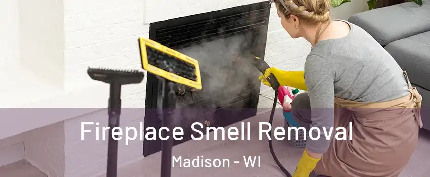  Fireplace Smell Removal Madison - WI