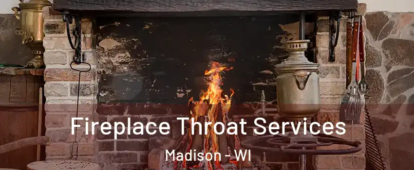  Fireplace Throat Services Madison - WI