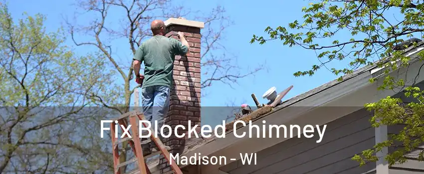 Fix Blocked Chimney Madison - WI