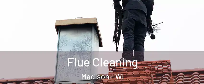  Flue Cleaning Madison - WI