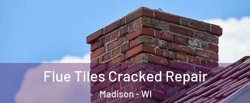  Flue Tiles Cracked Repair Madison - WI