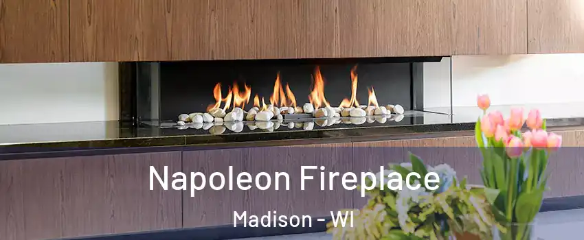  Napoleon Fireplace Madison - WI