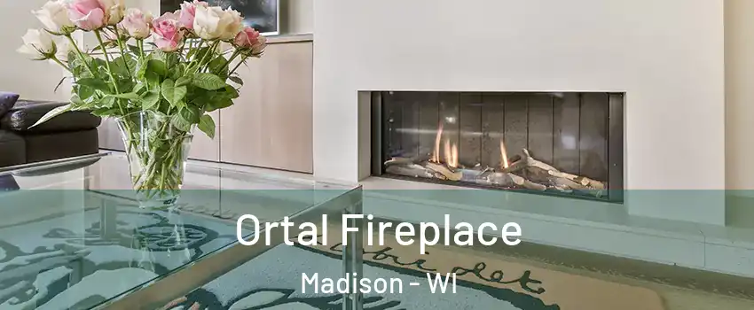  Ortal Fireplace Madison - WI