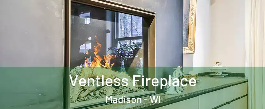  Ventless Fireplace Madison - WI
